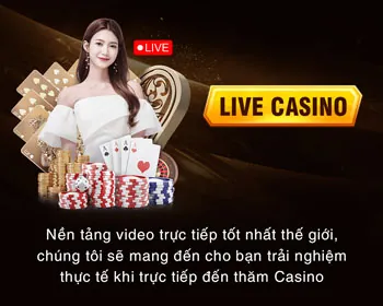 Cam kết của sun20 nhà cái